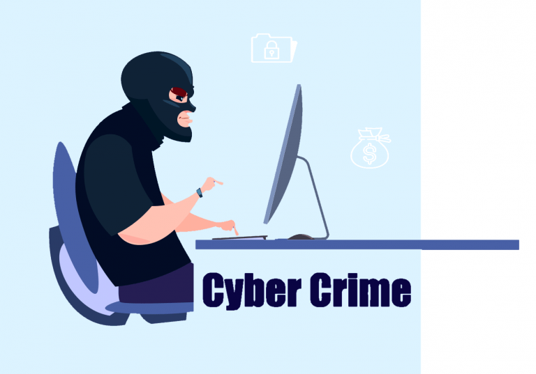 Cyber Crime Facts